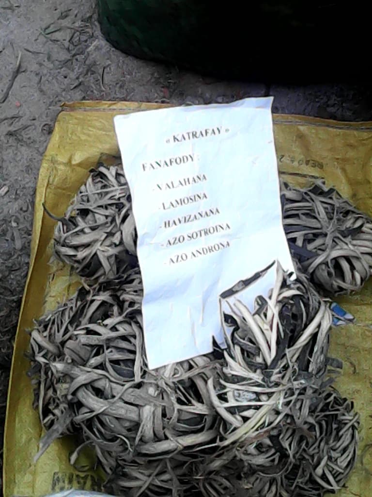 Los aceites esenciales de plantas endémicas de Madagascar