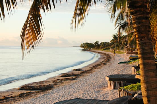 La Costa Oeste y el Canal de Mozambique