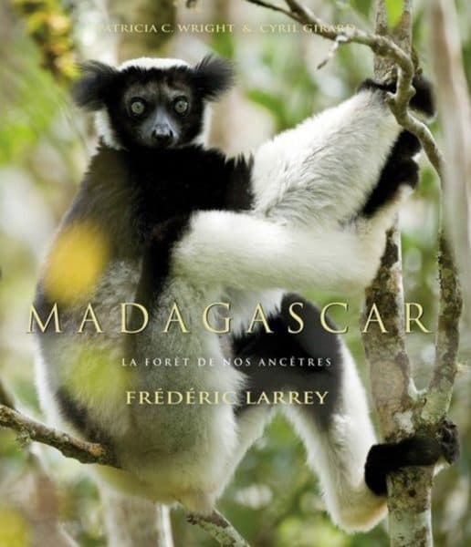 Madagascar, el bosque de nuestros antepasados