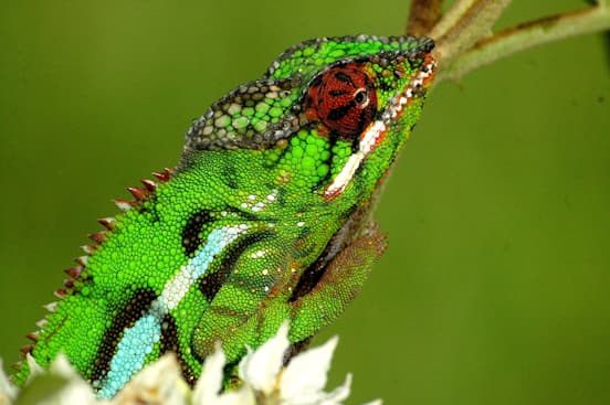 El Norte de Madagascar